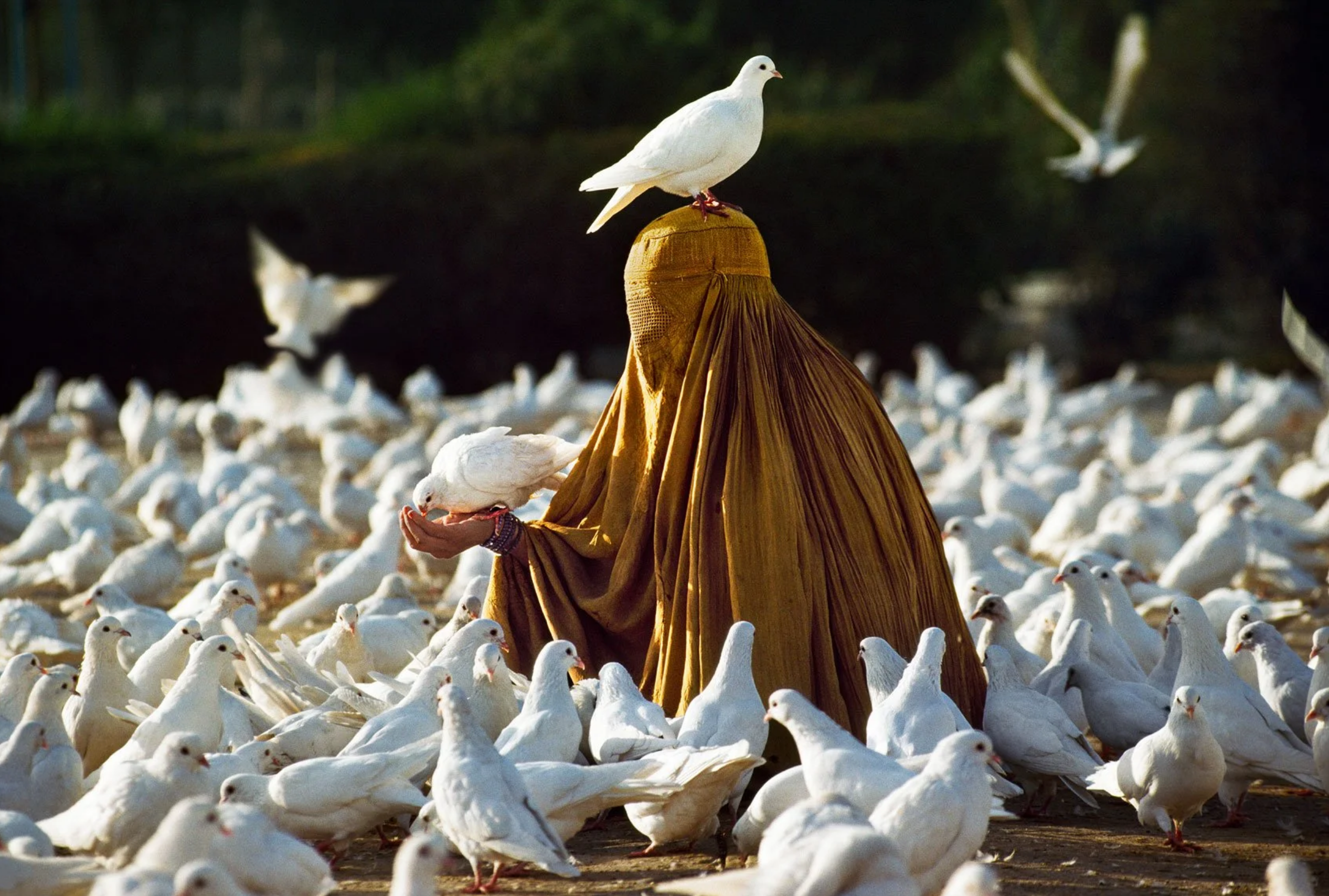 Mazar-i-Sharif, Afghanistan, 1991