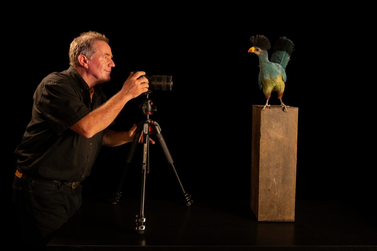 Joel Sartore photographing an animal