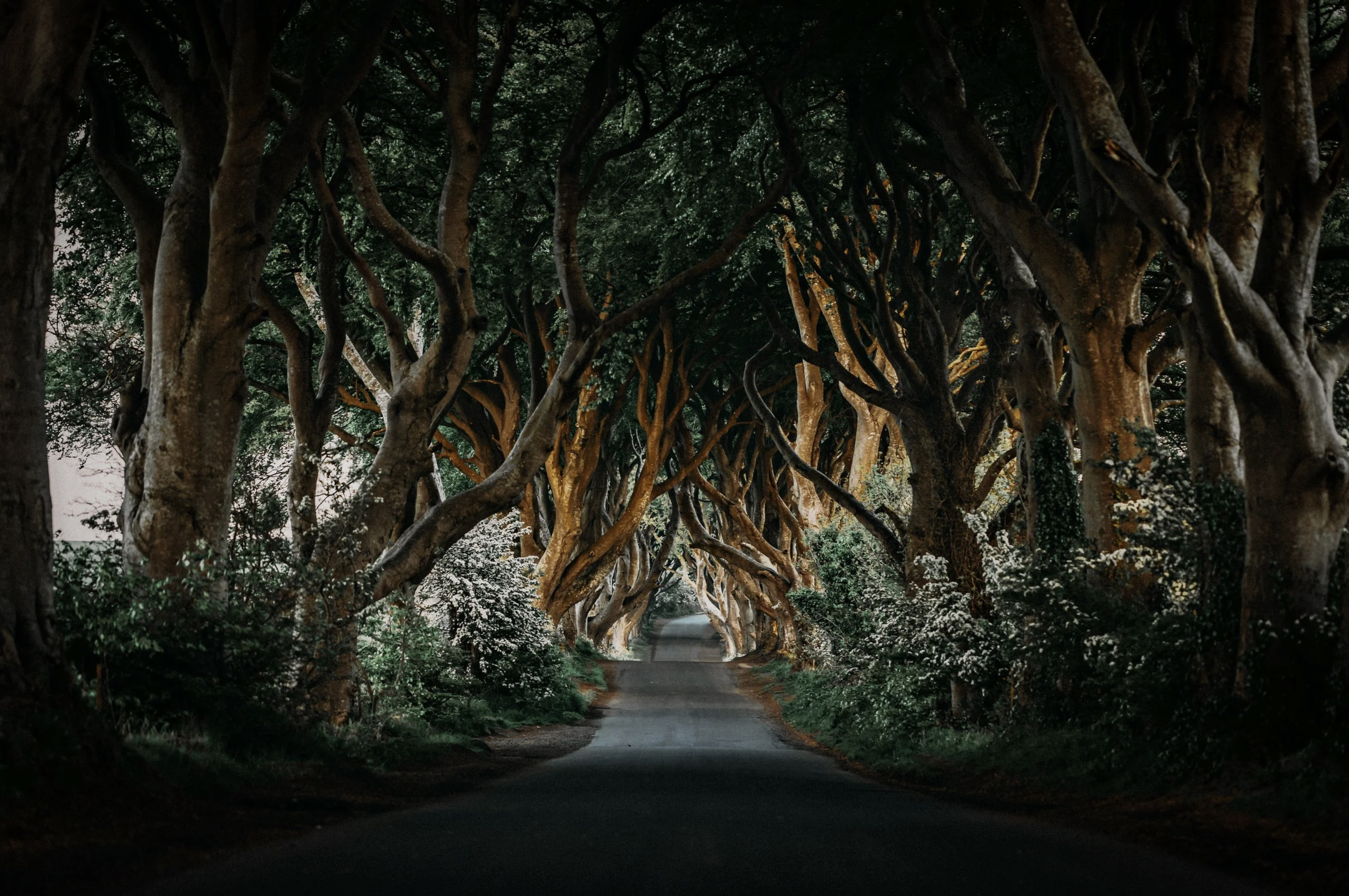 Adventure photography